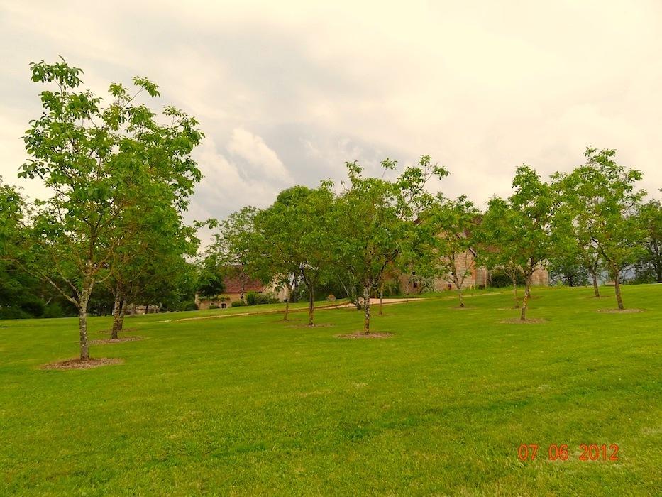 Mas Del Lum Bed & Breakfast Boussac  Екстериор снимка