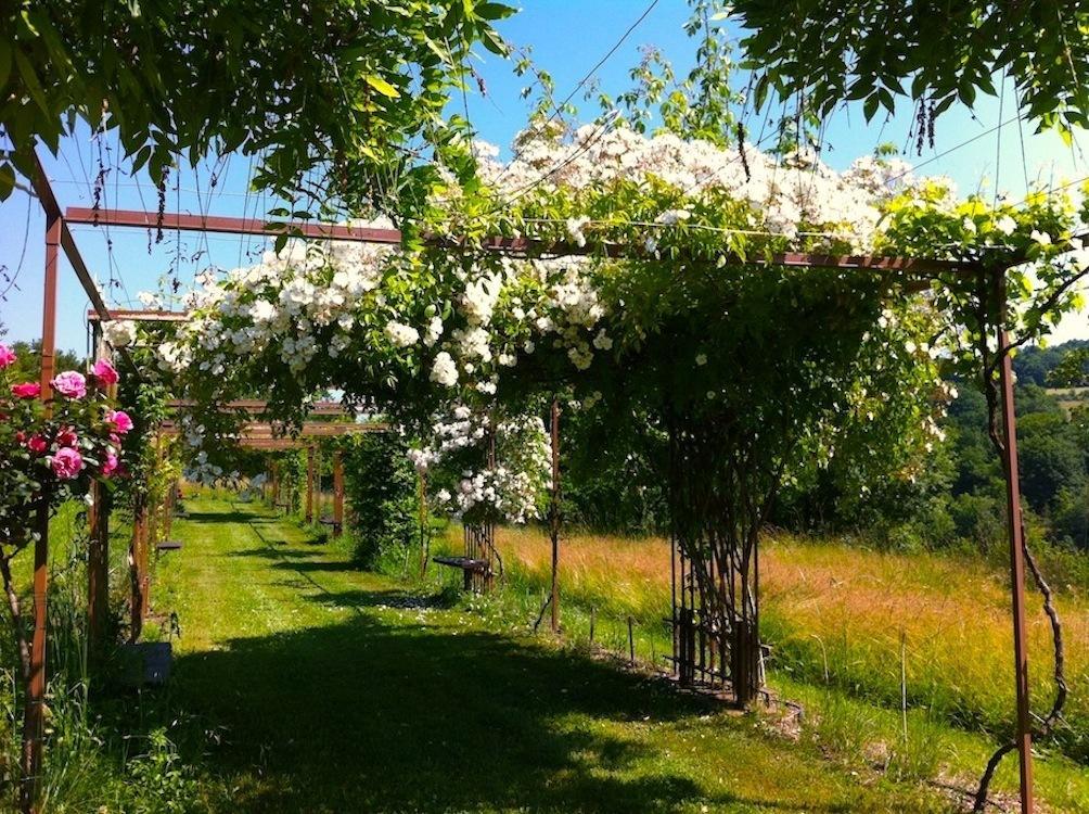 Mas Del Lum Bed & Breakfast Boussac  Екстериор снимка